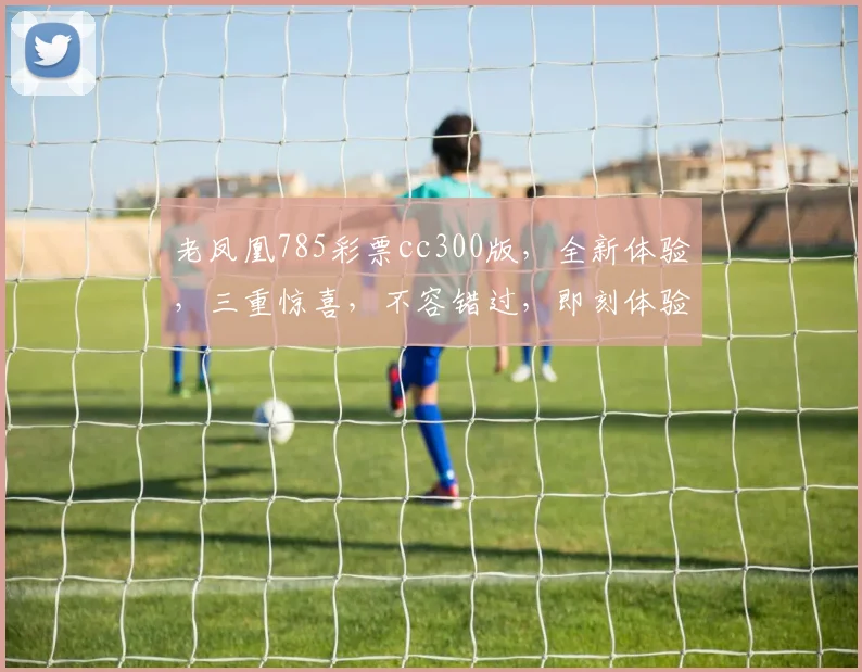 老凤凰785彩票cc300版，全新体验，三重惊喜，不容错过，即刻体验